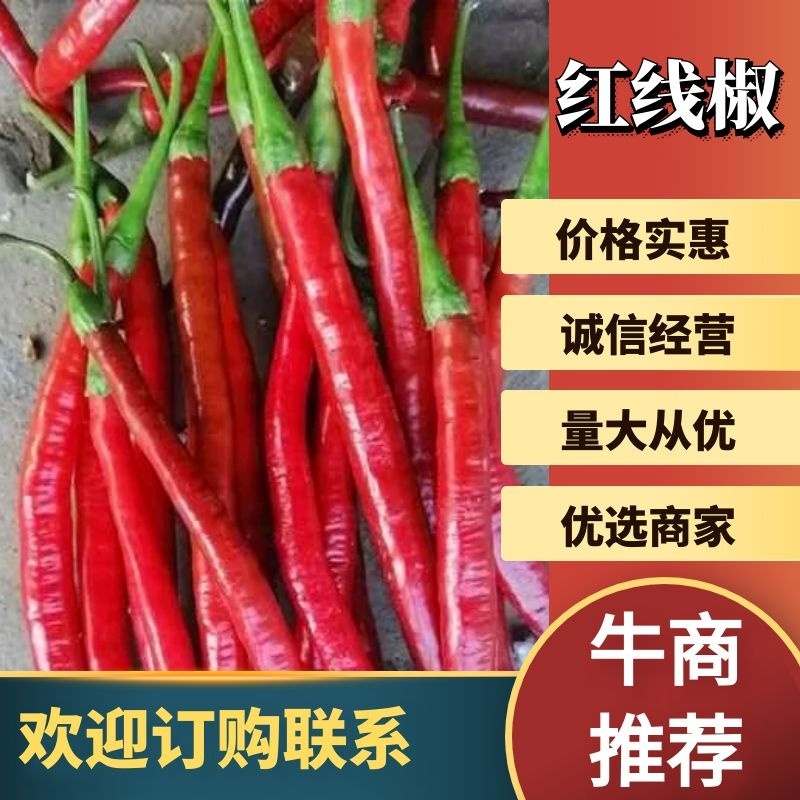安徽阜阳红线椒产地直销质量保障对接全国欢迎订购