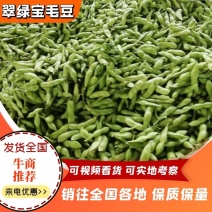 毛豆大量上市翠绿宝毛豆大棚种植货源充足欢迎咨询