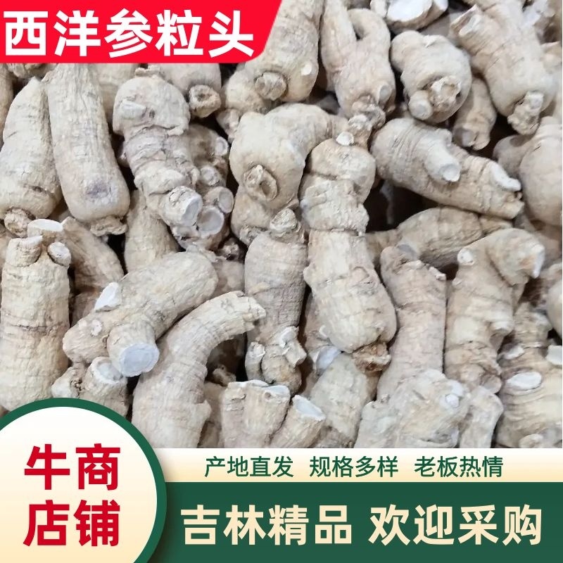【西洋参粒头】长白山自产西洋参粒头精品货一手货源包邮