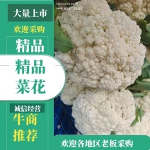 甘肃精品花菜原产地量大精品询价来电详谈有