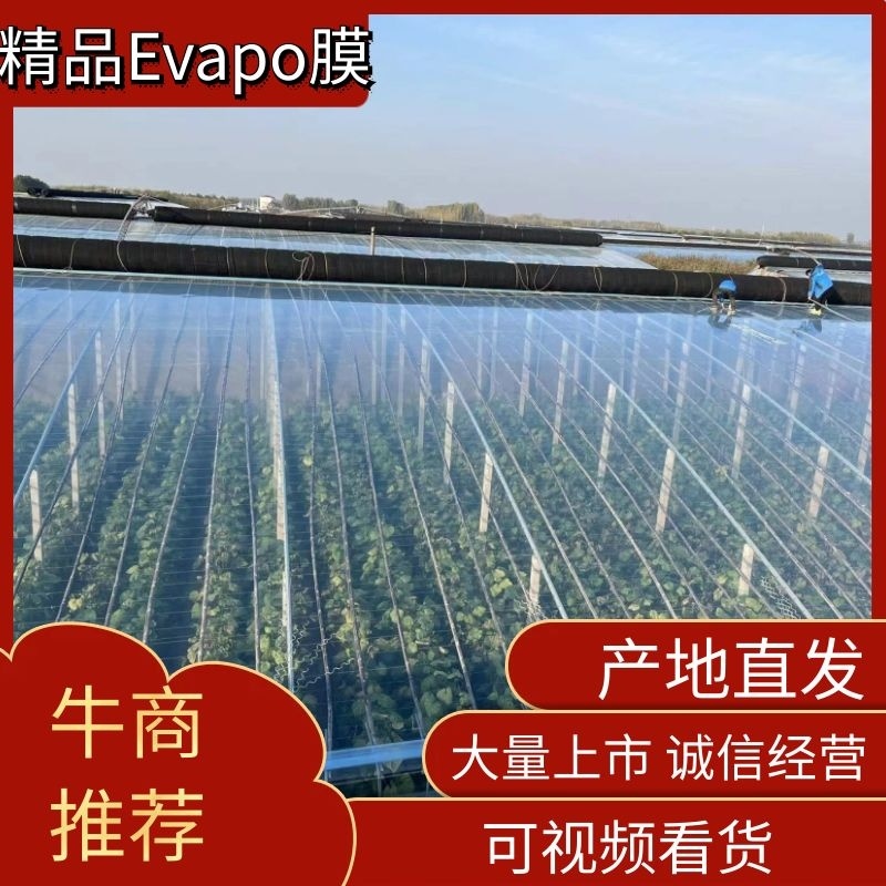 【厂家直销】山东润裕塑业EVA精品PO膜精品po膜大棚膜