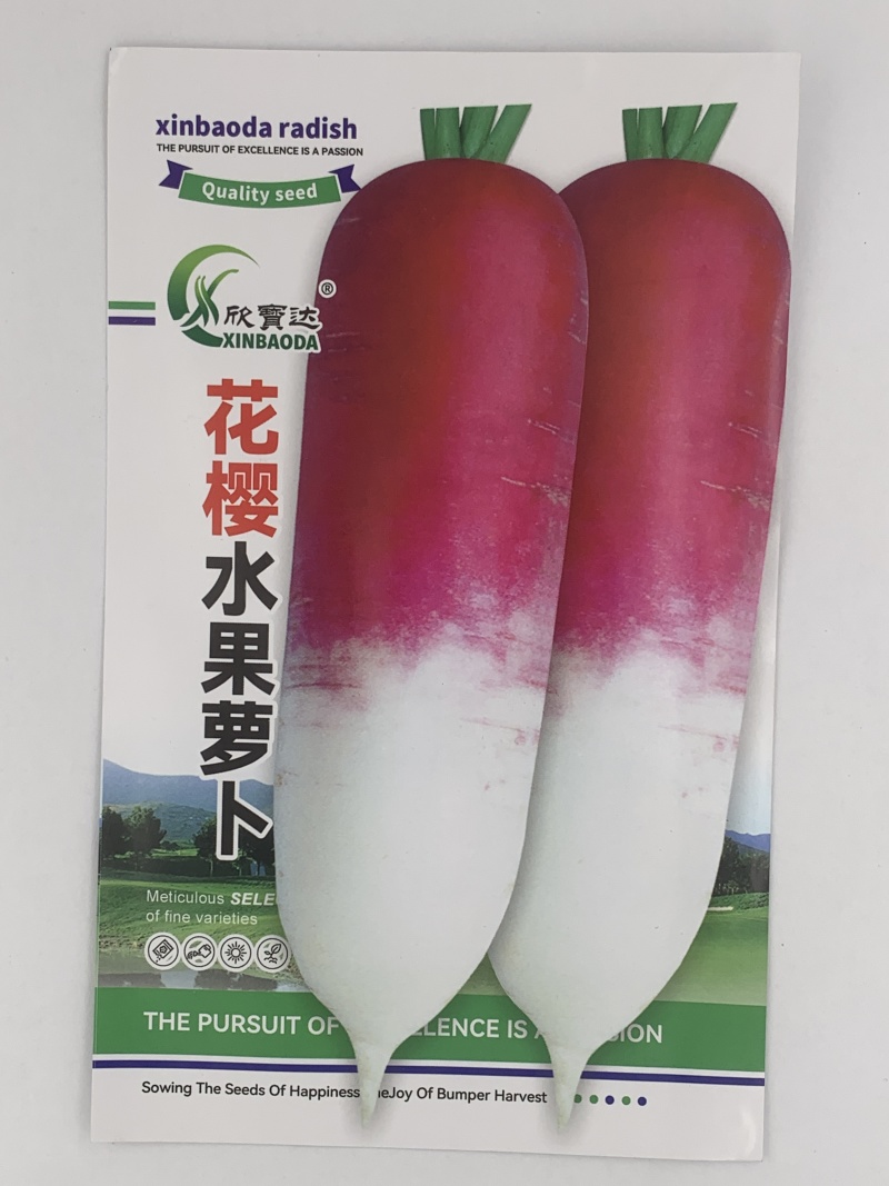 花樱萝卜种子光滑美观肉质细嫩紧实