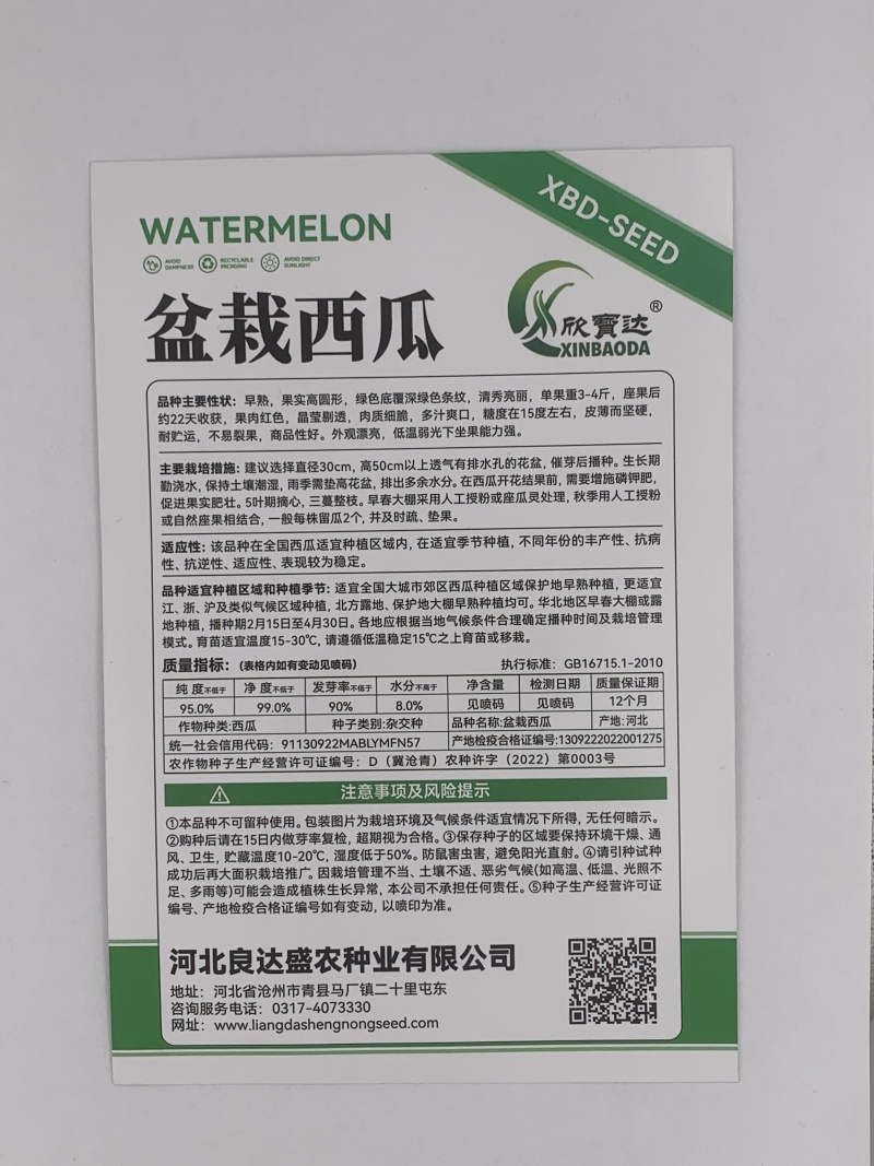 盆栽西瓜种子晶莹剔透肉质细嫩多汁爽口肉厚皮薄适应性广