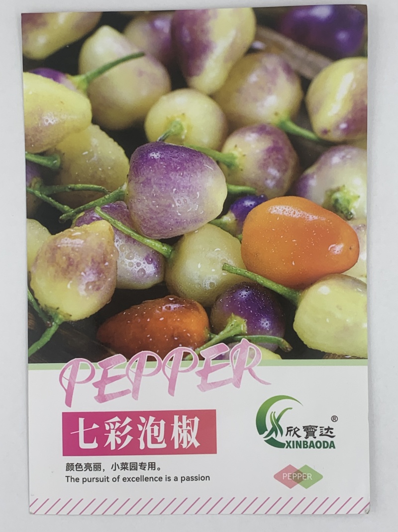 七彩泡椒种子颜色亮丽盆栽观赏赏心悦目