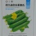 荷兰迷你水果黄瓜种子瓜条笔直光滑节节有瓜无刺瘤
