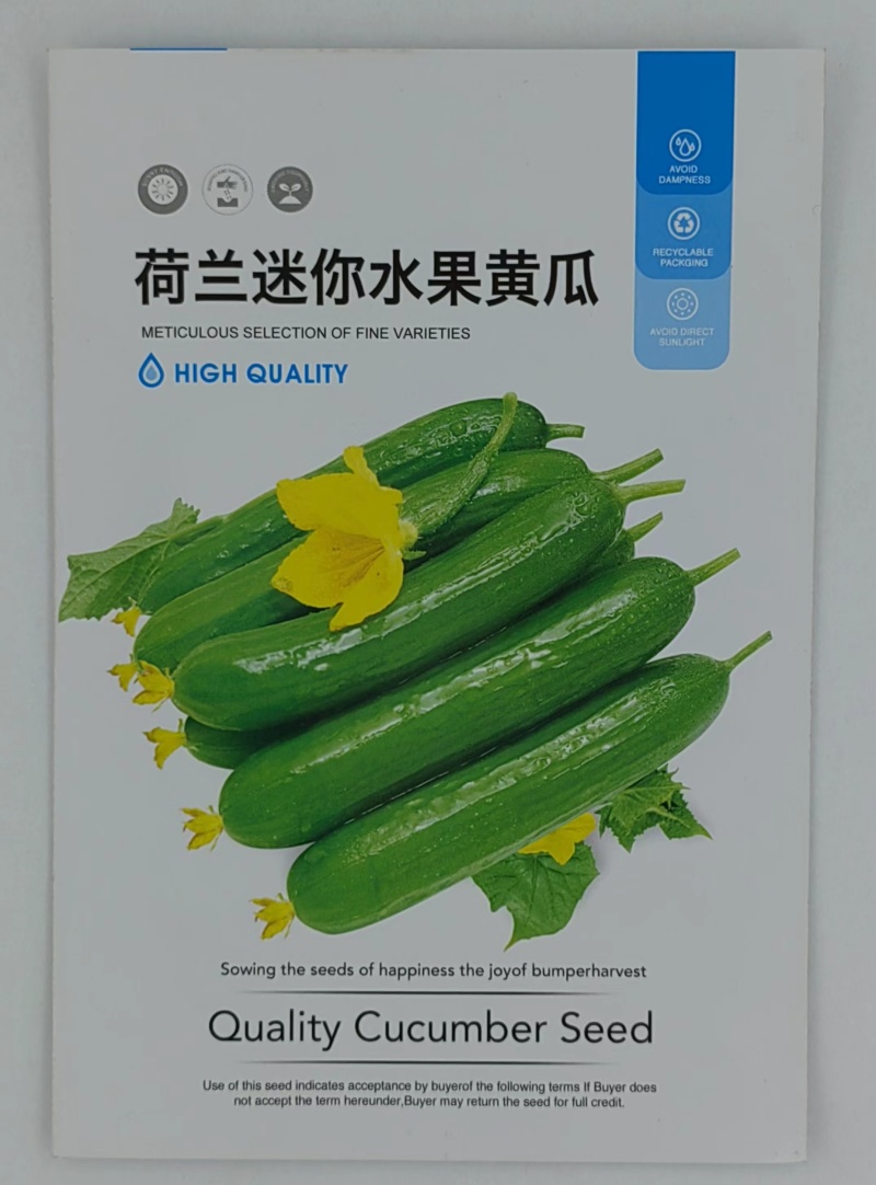 荷兰迷你水果黄瓜种子瓜条笔直光滑节节有瓜无刺瘤