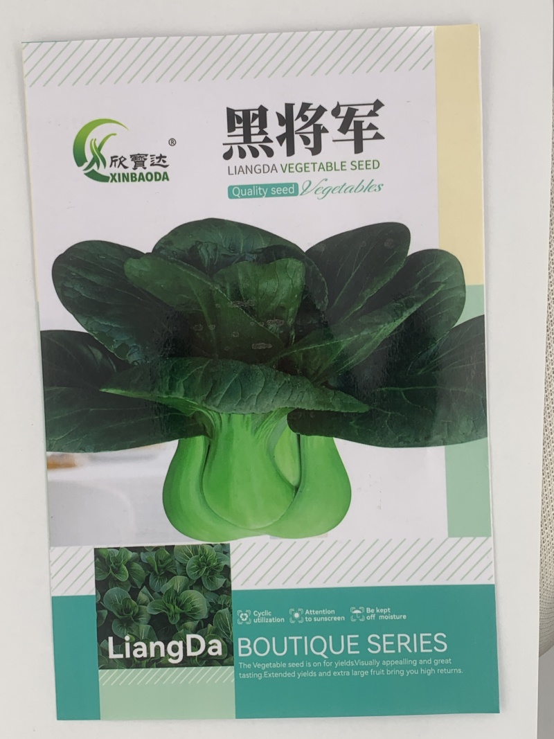 黑将军青梗菜种子叶呈匙型叶脉清晰叶色深绿叶面光滑