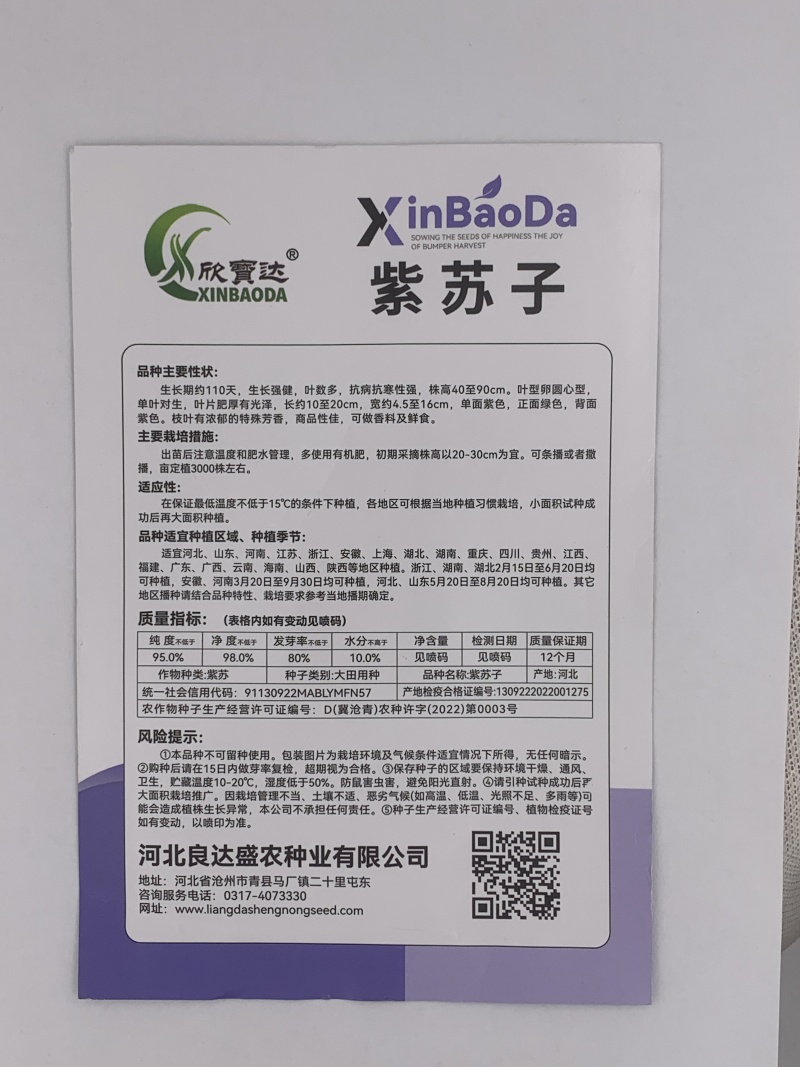 紫苏子种子单面紫色正面绿色枝叶有特殊的芳香
