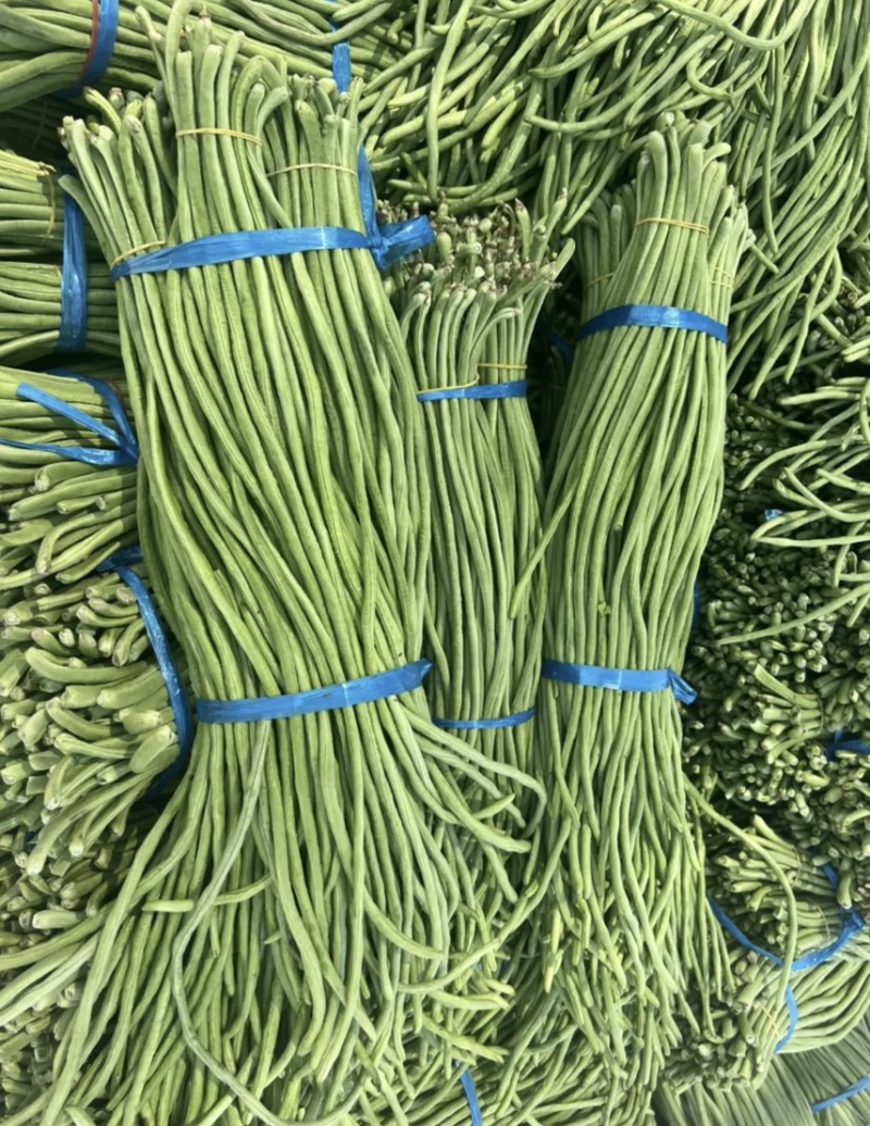 河南开封新鲜豆角一手货源品质好代发全国各地