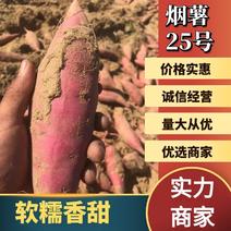 精品红薯河北唐山正宗烟薯25产地直发批发电商量大优惠