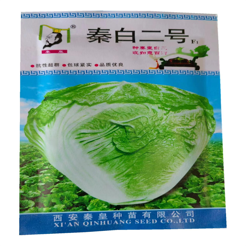 秦白二号大白菜种子秦白2号种子秋季冬储包球紧实火锅菜种子