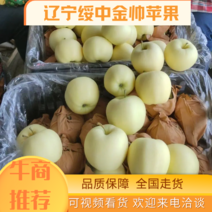 辽宁葫芦岛绥中县金帅苹果。黄元帅大量上市！全国可发货！