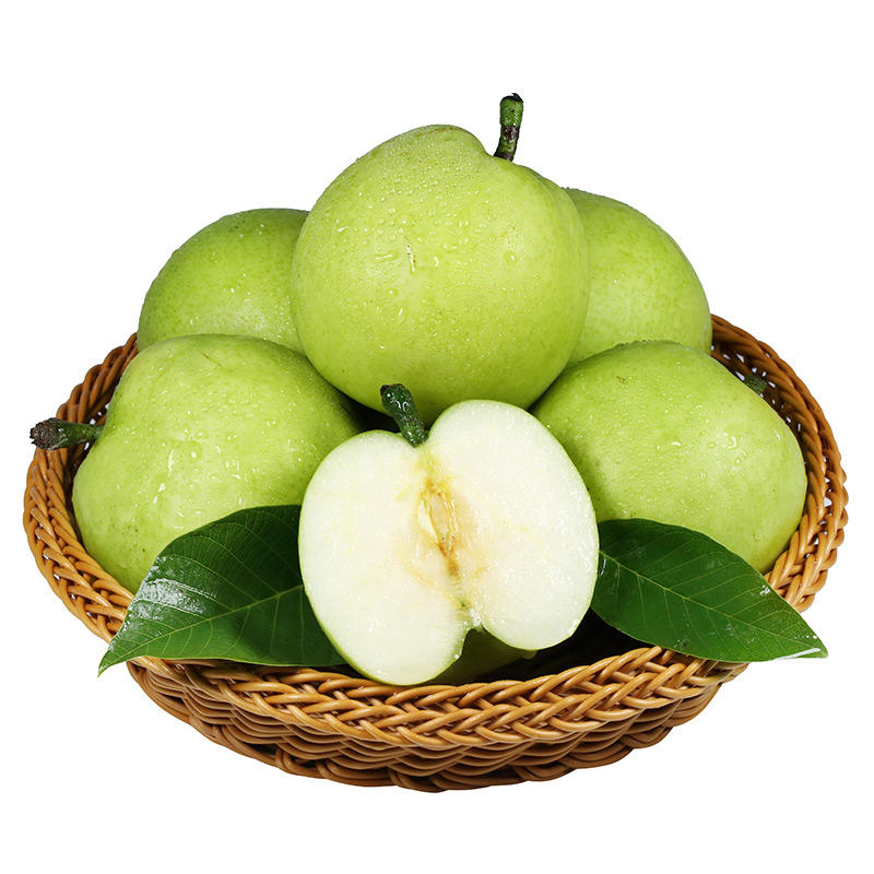 安徽青皇冠梨9斤当季水果砀山特产脆甜多汁梨子青梨一件代发