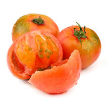 辽宁铁皮西红柿4.5斤新鲜草莓柿子自然熟水果番茄一件代发
