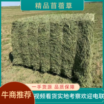 黑龙江本地优级苜蓿草大量供应可视频实地考察欢迎