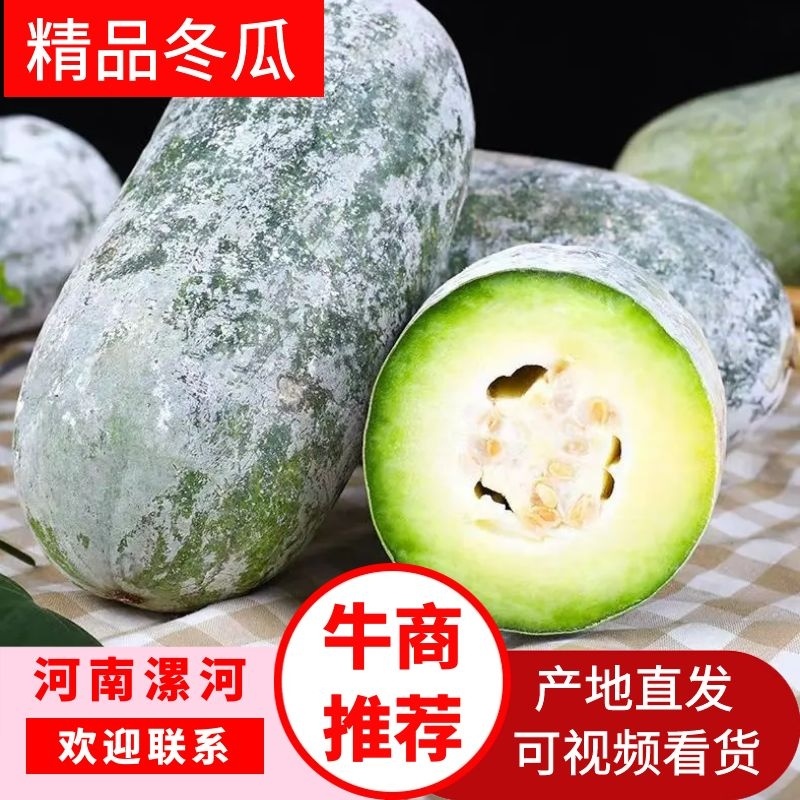 精品水果冬瓜产地现摘现发品质保证实力代办全国发货