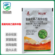 帆邦阔太师氯氟吡氧乙酸异辛酯水花生空心莲子草马齿苋除草剂