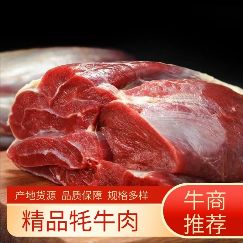 青海高原正宗草膘牦牛肉自家养殖欢迎来电咨询