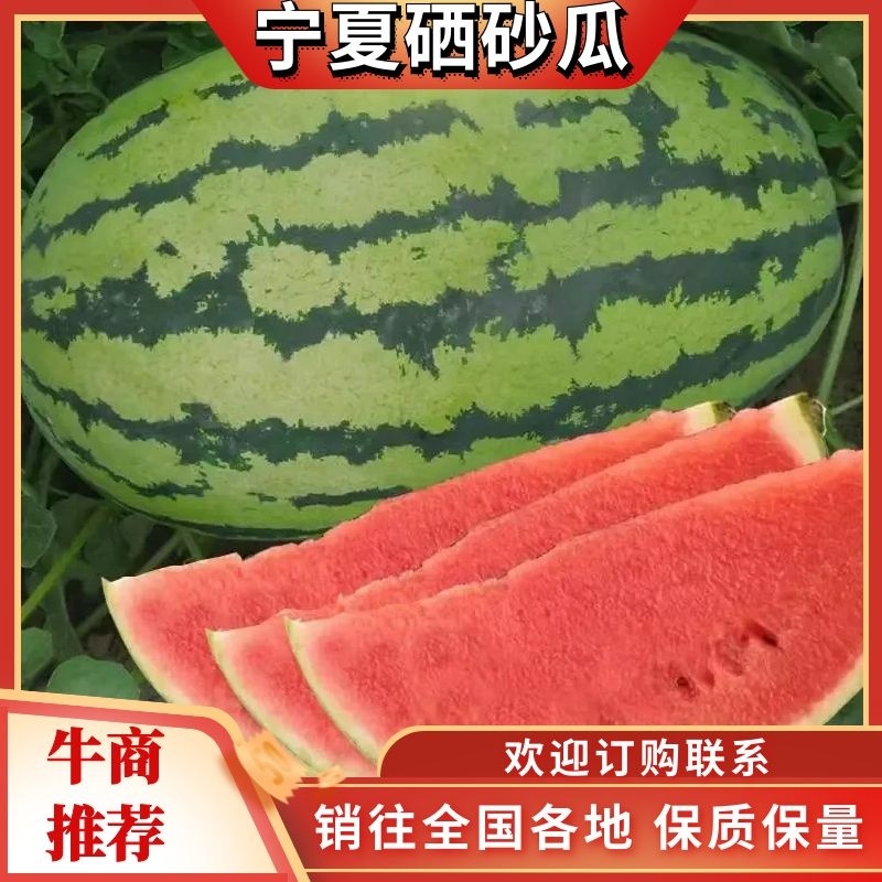 【精品】宁夏硒砂瓜保质保量包熟包甜欢迎来电咨