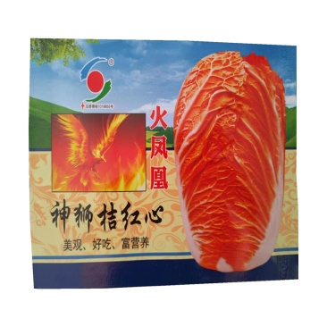 橘红心大白菜种子鸡蛋黄四季高产火凤凰神狮桔红心白菜种子