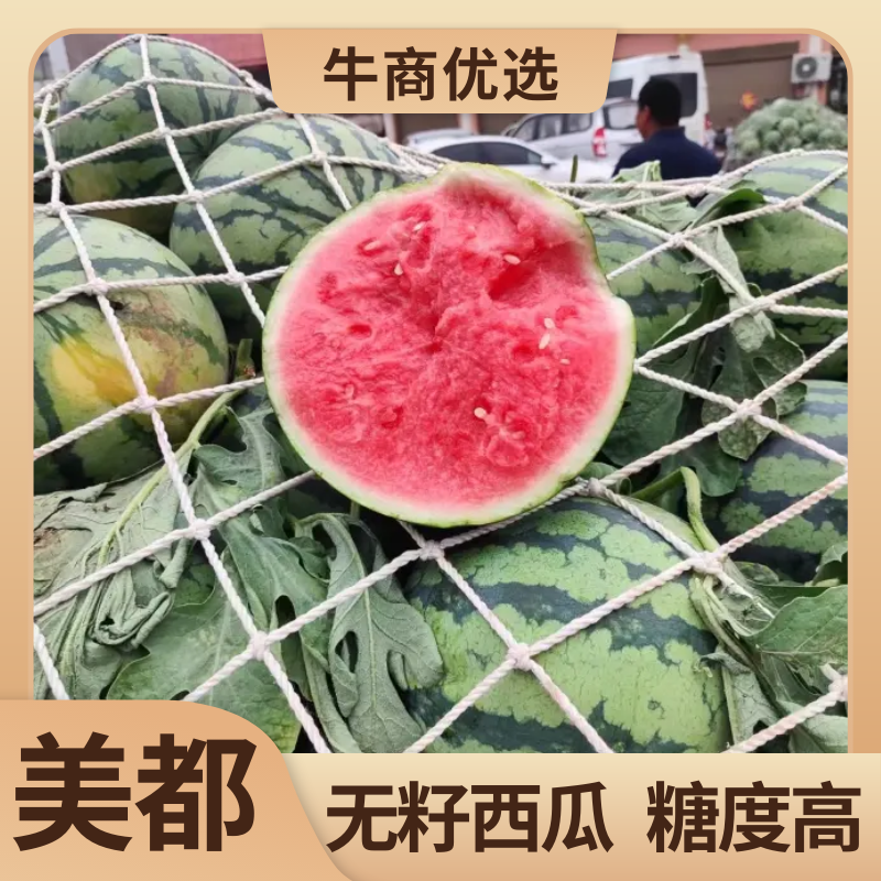 美都麒麟西瓜，产地甘肃，一手货源，大量供应，电话联系