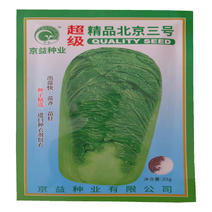 精品北京三号白菜种子进口种衣剂包衣大白菜种子