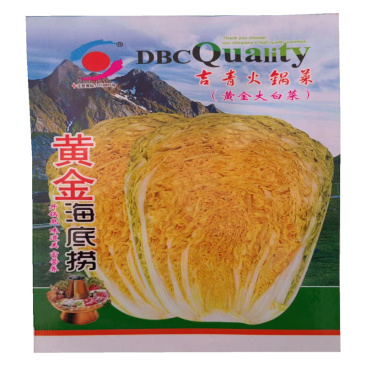 黄心白菜种子高产黄金海底捞大白菜种子开锅熟