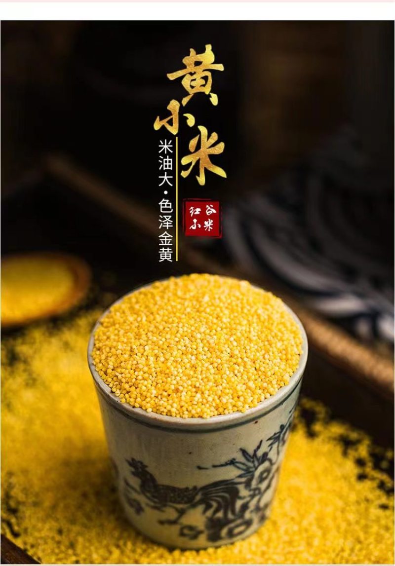 小米河北邢台小米，品质保证，价格真实欢迎选购