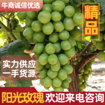 【推荐】阳光玫瑰葡萄预计7.15上市中，自有种植基地