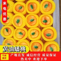 .油蟠九，油桃七口感甜个头大。硬度好口感脆