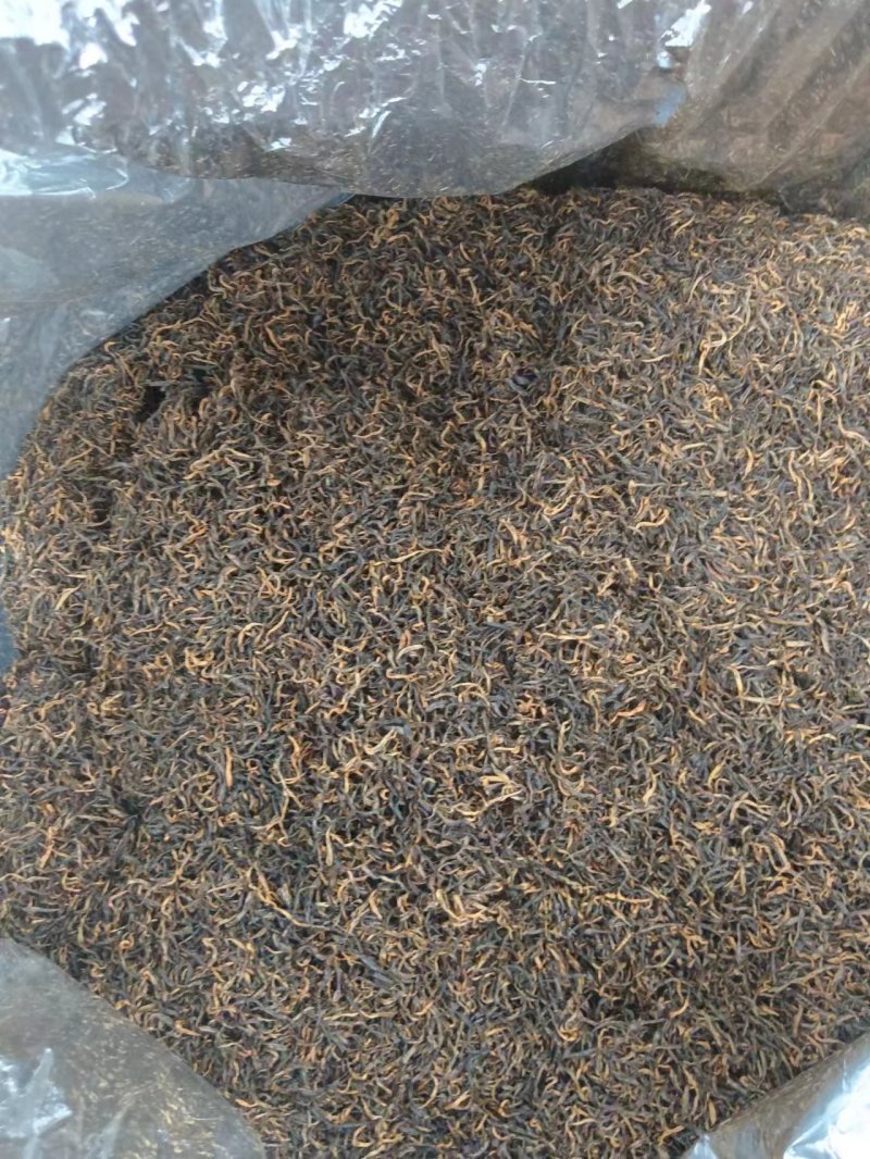 春芽二叶，红茶绿茶均有，大量供应，现货新茶