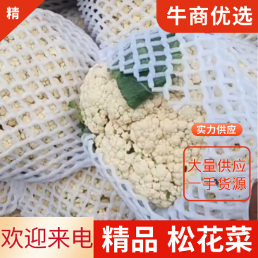 精品散花大量上市，代发全国，诚信经营，支持视频看货