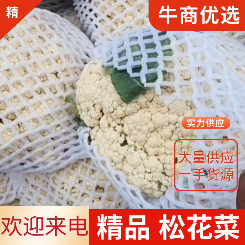 精品散花大量上市，代发全国，诚信经营，支持视频看货