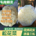 精品散花松花菜大量上市，品质保证，精选，量大从优，货源稳定