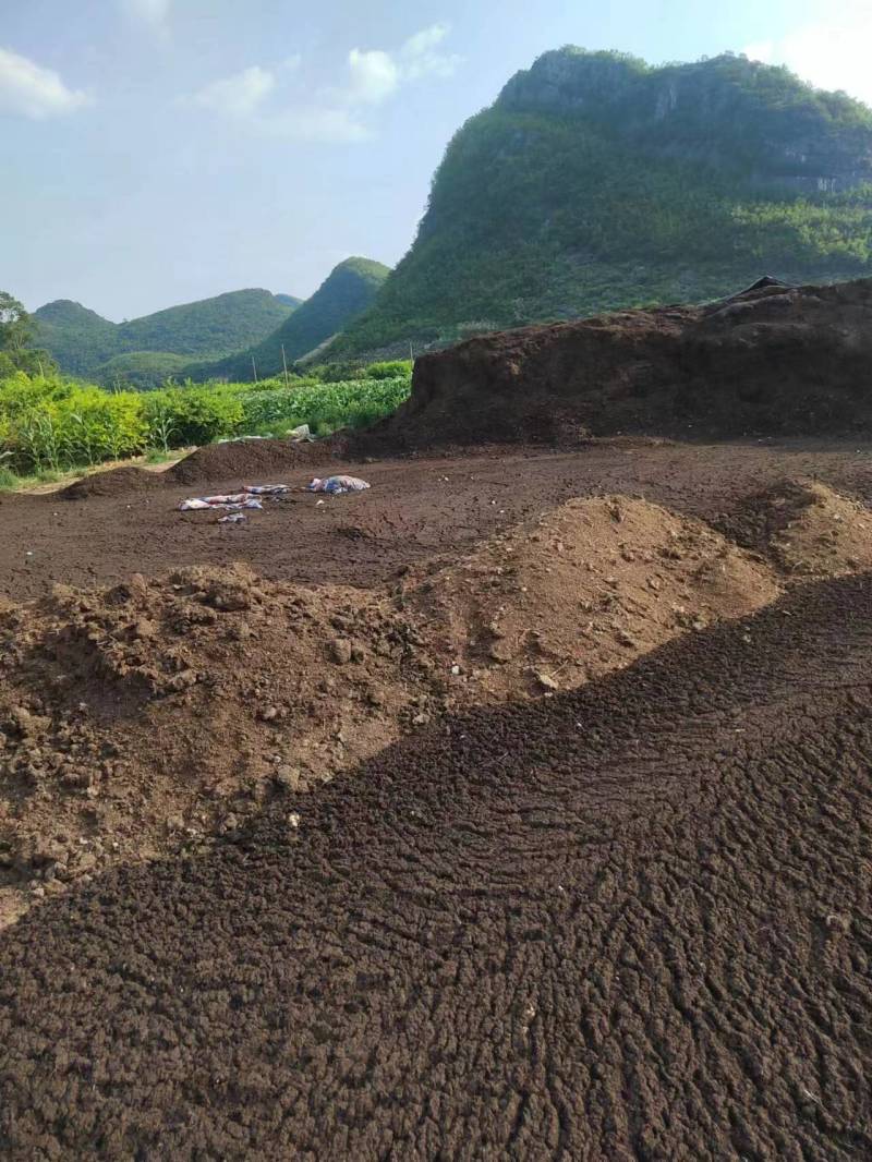 贺州富川鸡粪量大从优欢迎来电