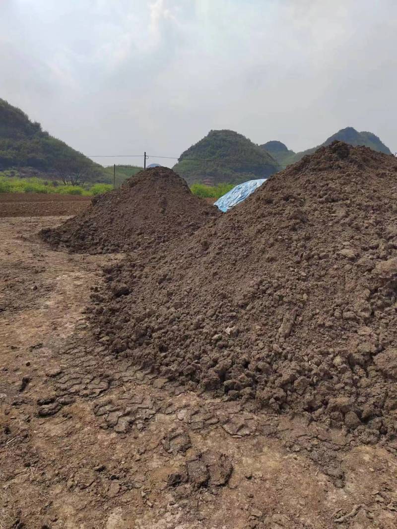 发酵纯鸡粪直接可用不烧根