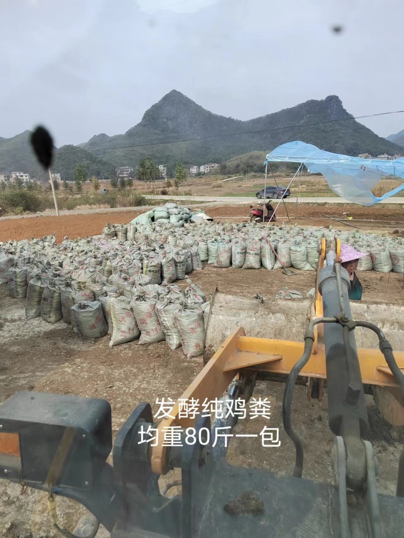 鸡粪供应场地现铲现卖量大现货