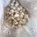 【一手货源】徐州精品红蒜货量充足量大优惠欢迎来电选购