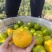 湖北特早蜜橘高原无籽蜜桔产地直发质量保证市场电商量大从优