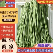 夏邑长豆角青条豆角大量供货一手货源质量保证实力