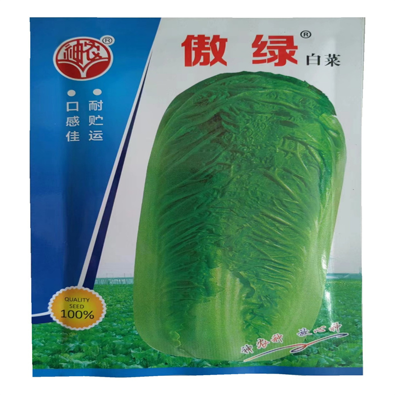 傲绿白菜种子北京新3三号大白菜种子秋季冬储籽口感佳