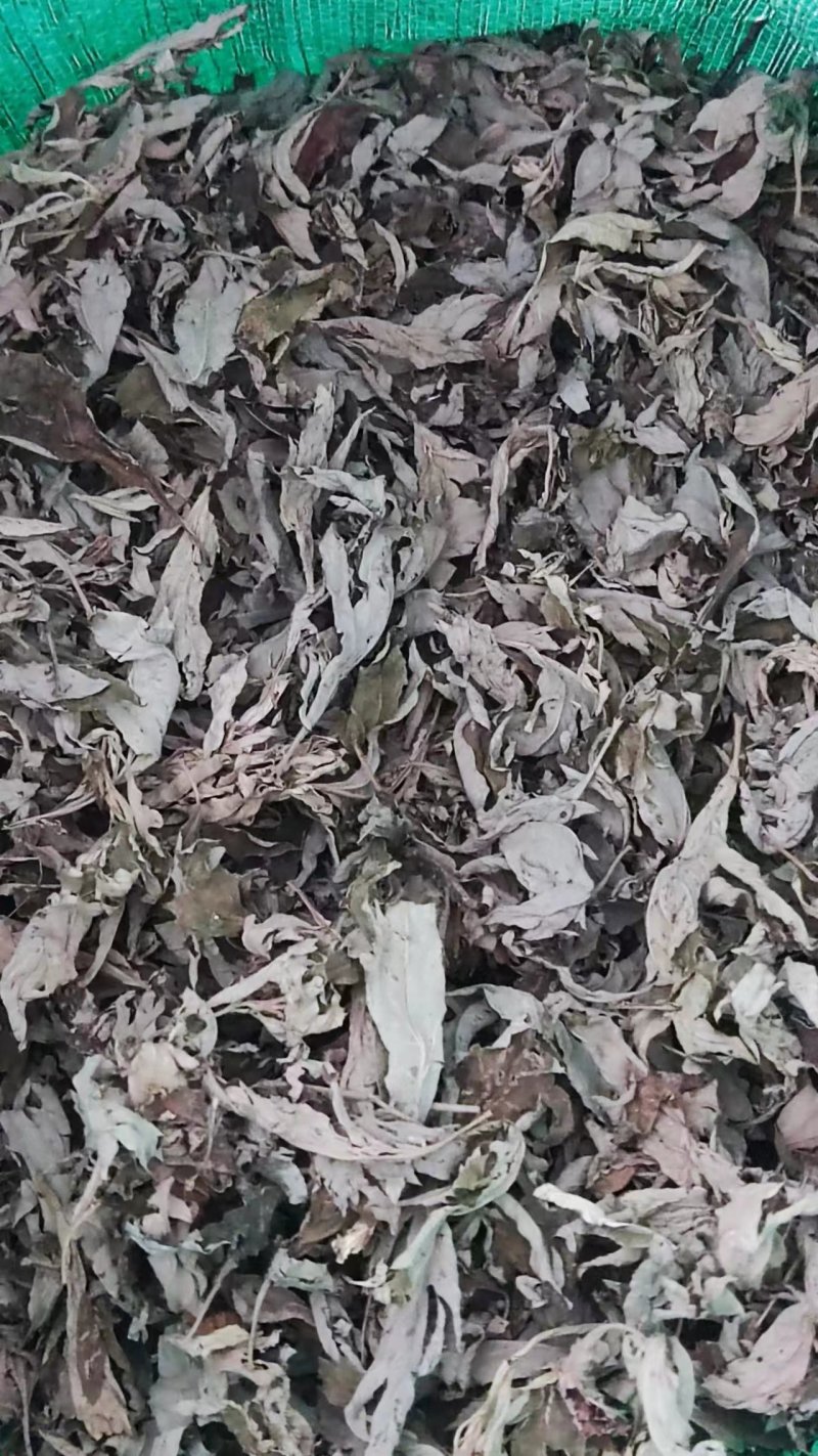 蕲艾干货，通货种类齐全