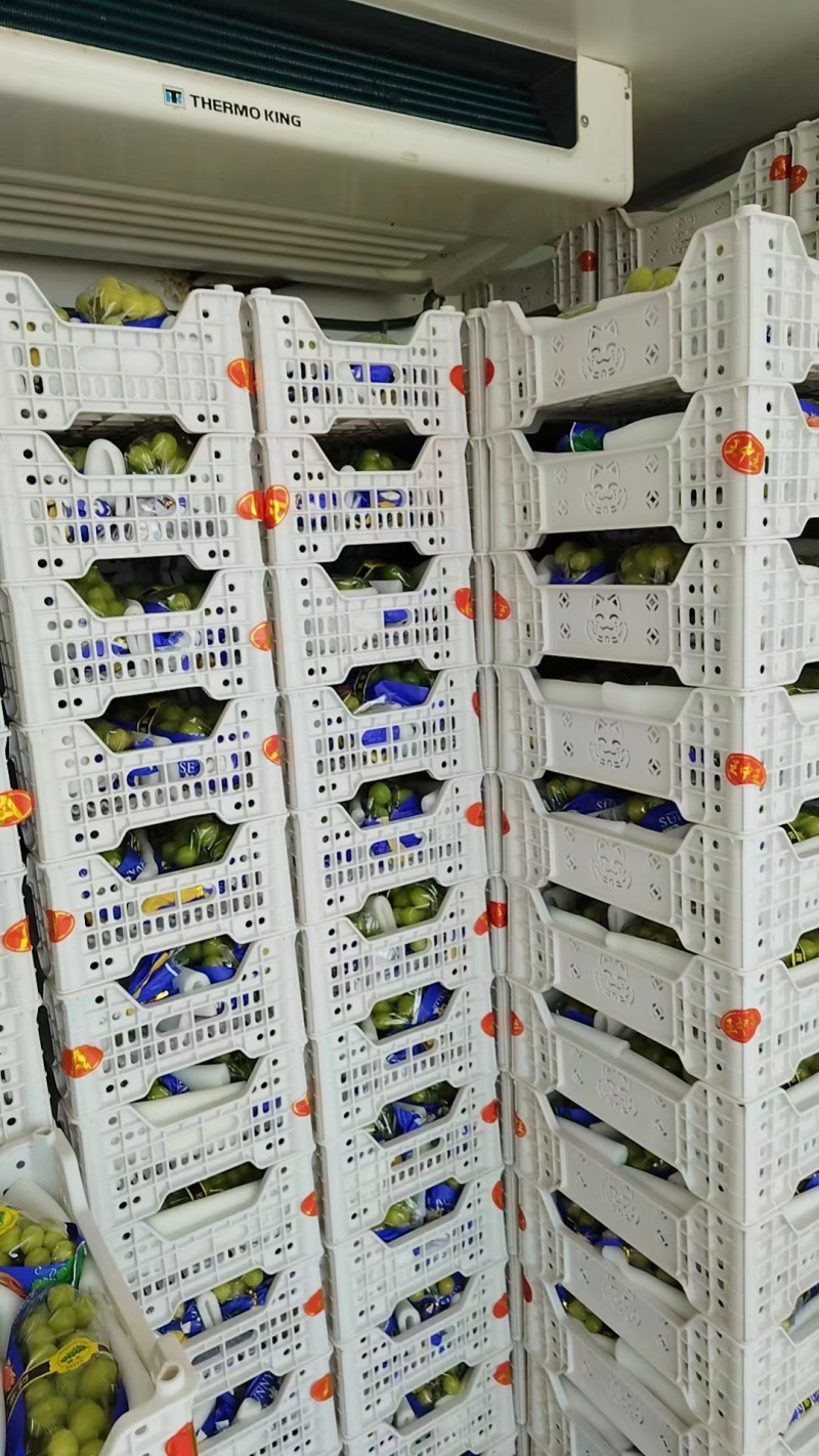 【葡萄】阳光玫瑰果粒大甜度高质量好可上门看货