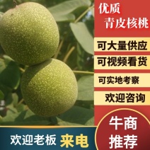 【实力商家】河南精品核桃质量保证产地直供欢迎咨询