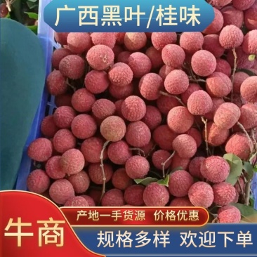【核小肉厚】广西桂味荔枝现摘现发量大从优欢迎来电咨询