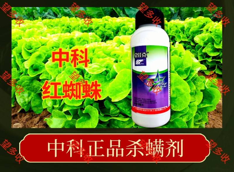 阿维乙螨唑杀螨剂中科红蜘蛛黄蜘蛛柑橘月季蔬菜200克