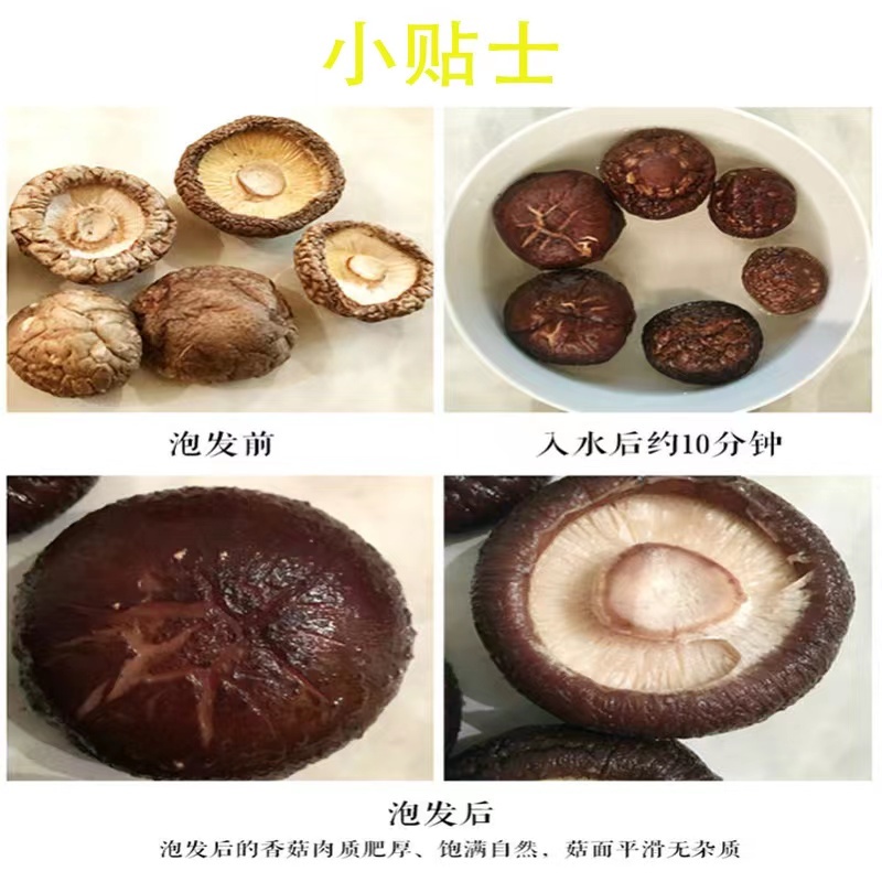 河南精品脱水干香菇肉厚均匀原产地直发量大从优