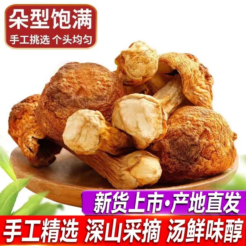 【牛商推荐松茸】姬松茸福建姬松茸保质保量产地直发欢迎来电
