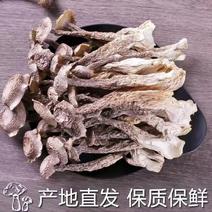 古田无硫干货鹿茸菇菌香浓郁品质保证量大从优