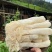 【竹荪】长裙竹荪管竹荪球福建产地直供原色无硫无干燥剂视频拿货